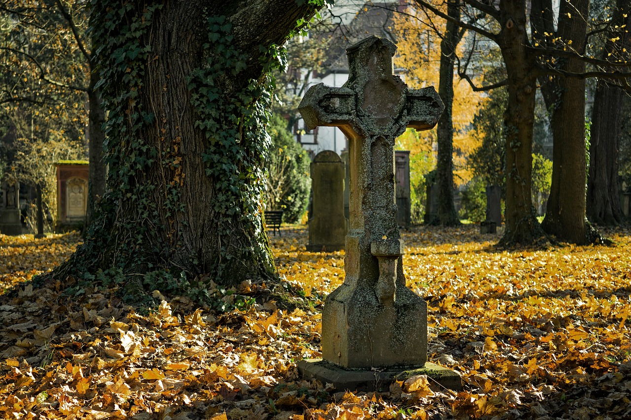 Friedhof mit Grabstätten in Wien